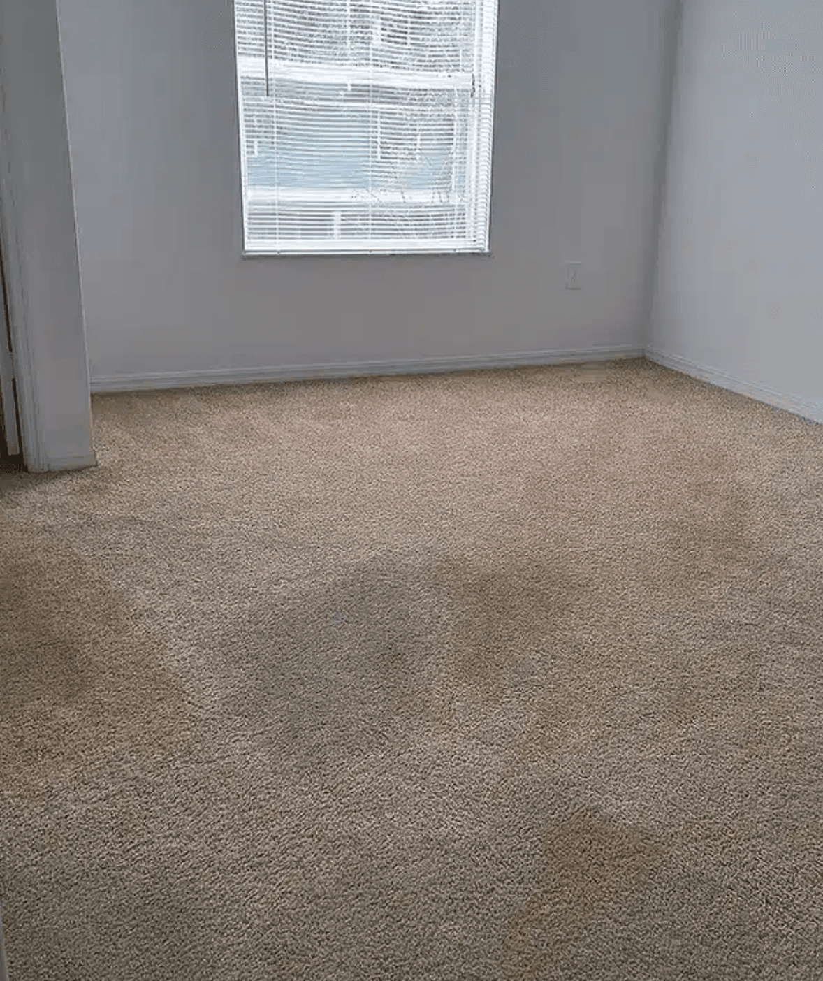Carpet Cleaning
