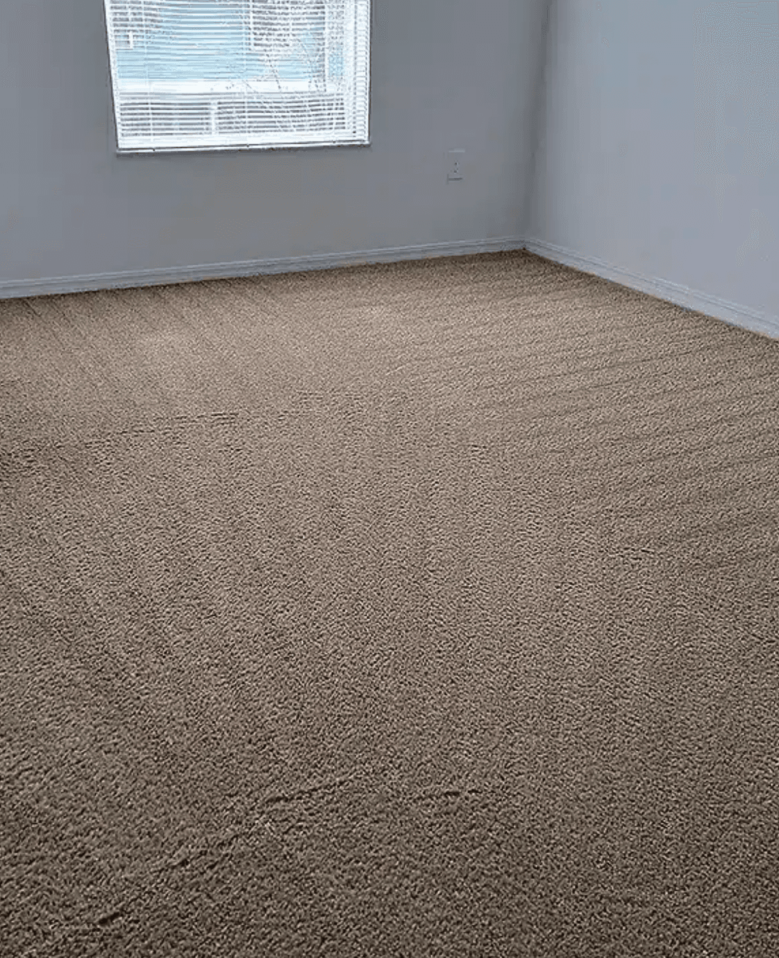 Carpet Cleaning — after