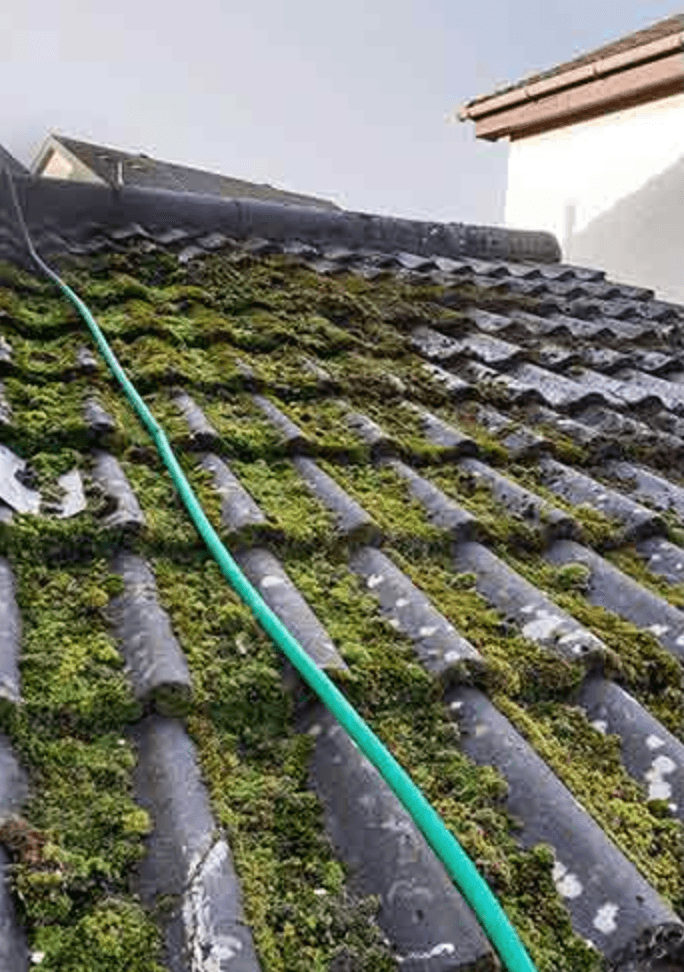 Roof & Gutter Restoration