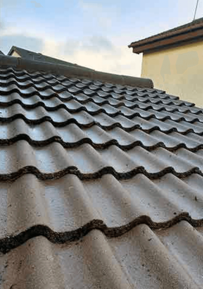 Roof & Gutter Restoration — after